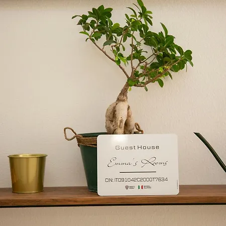 Emma's 3* לוצוראי